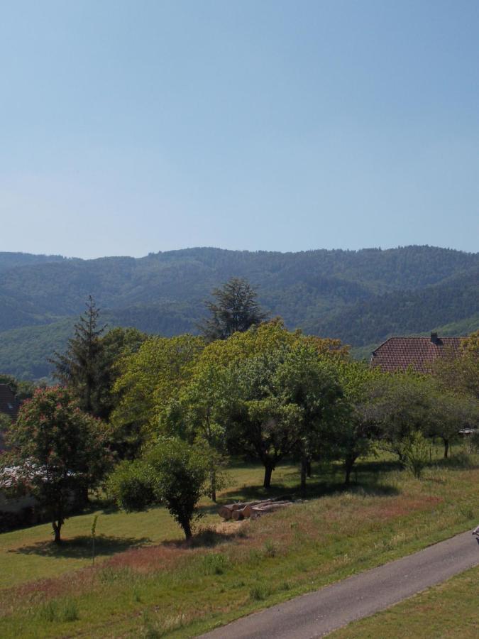 Maison De Vacances "Le Longchamp" Villa Osenbach Exteriör bild
